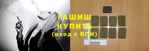 индика Осинники