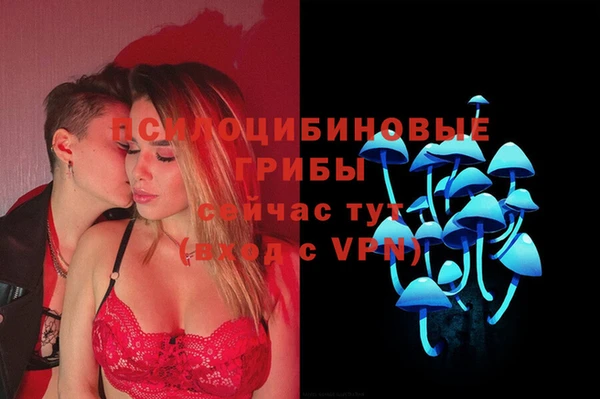 ALPHA PVP Остров