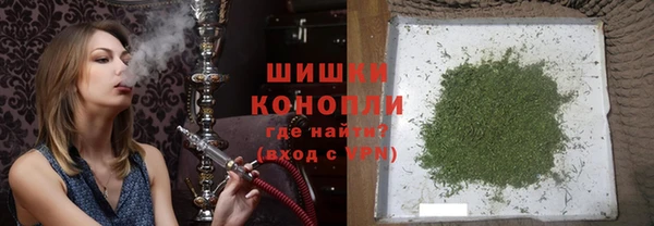 дмт Осташков